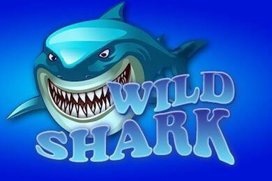 Играть в Wildshark Бонус Казино